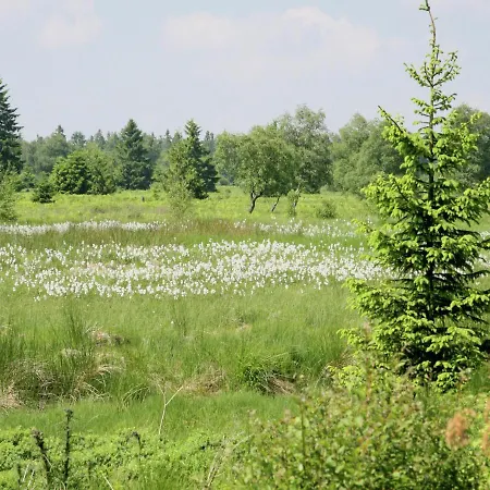 Wellness & Wilderness Libomont Escape بيت للعطل وايمس